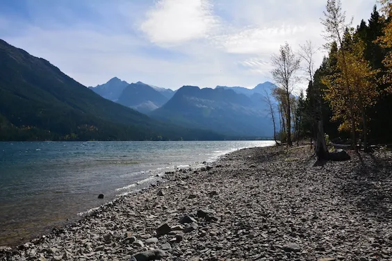 Image of the lakeshore of the Waterton Lakes in Waterton National Park with clear waters, with the Rocky Mountains in the background and trees in fall colours.