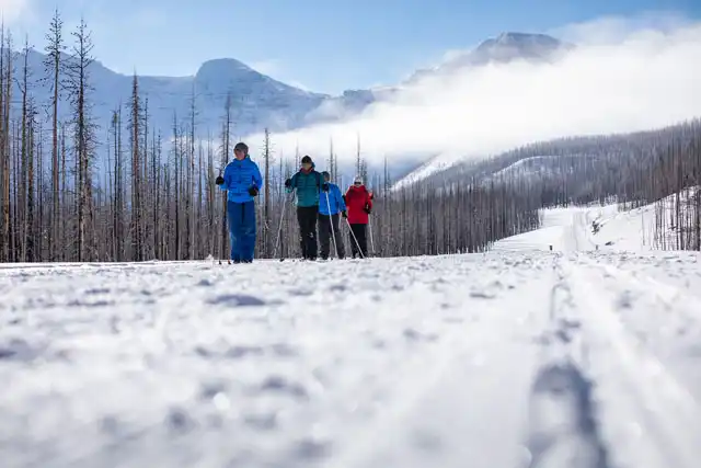 Image of a group of skiers traversing a cross-country ski trail through the mountains of Waterton National Park