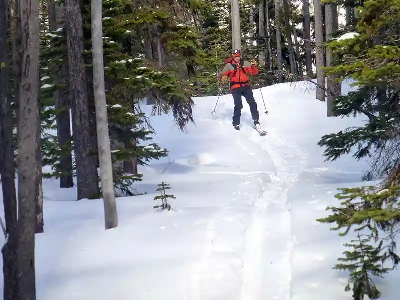 Image of a man cross-country skiing through the backcountry of Waterton National Park through the trees wearing coat and bringing gear.